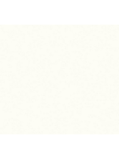 Столешница EGGER Белый Премиум W 1000 ST76 4100x600x38 мм