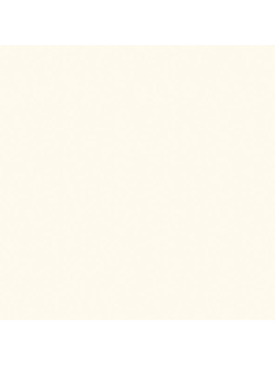 ДСП ЭГ Белый Платиновый 18мм 2,8*2,07 W980 SТ2