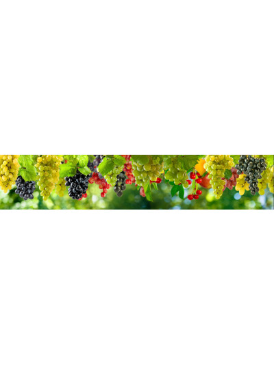 Фотопечать фрукты и овощи 13