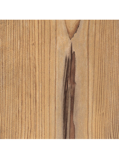 Пихта Брамберг