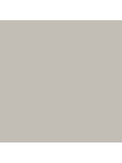 Серый Перламутровый U763 ST18