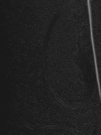 Фасад МДФ плівковий Лілія...