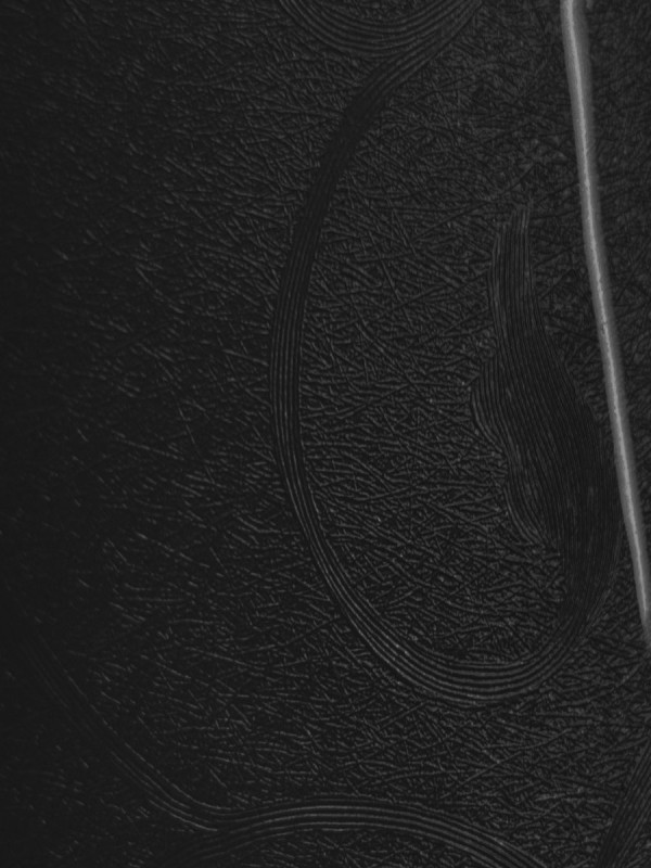 Фасад МДФ плёночный Лилия черная 702-3