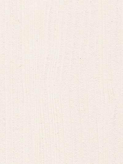 Фасад МДФ пленочный Клен...