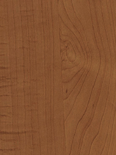 Фасад МДФ плівковий Вільха...