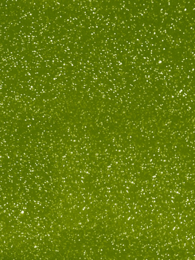 Фасад МДФ плівковий Ківі...