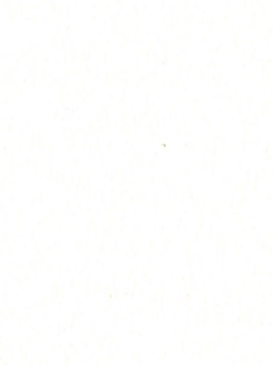 Фасад МДФ плівковий Біла...