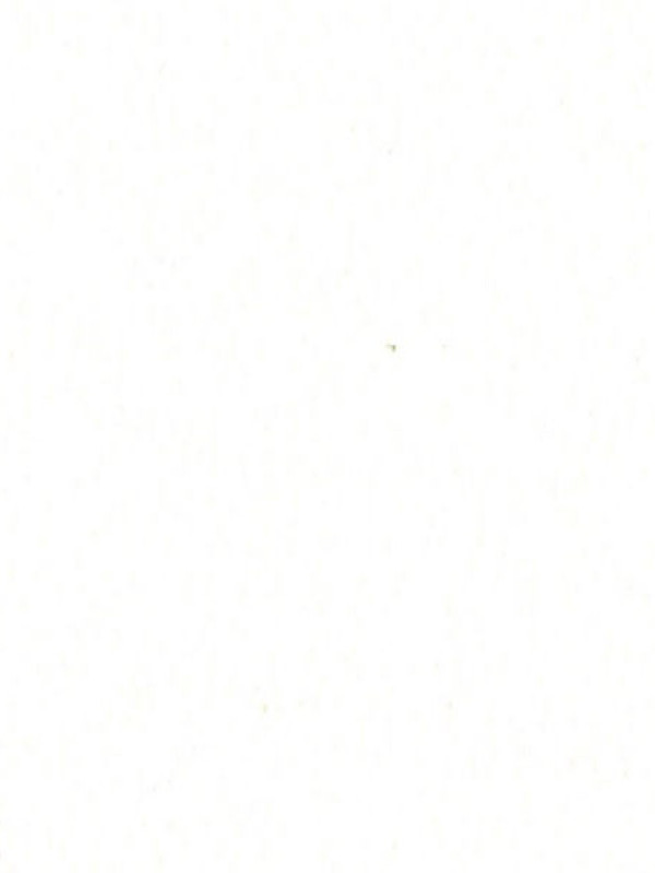 Фасад МДФ плёночный Белая шагрень PF-140