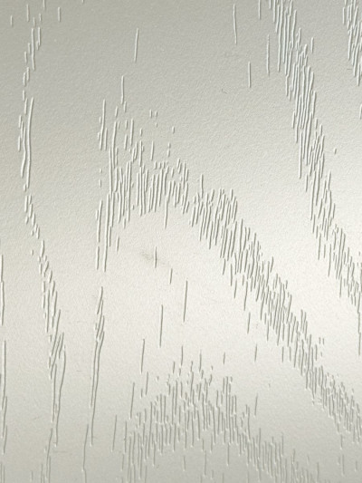 Фасад МДФ пленочный Осина перламутр СС-5035 MebTech - 1