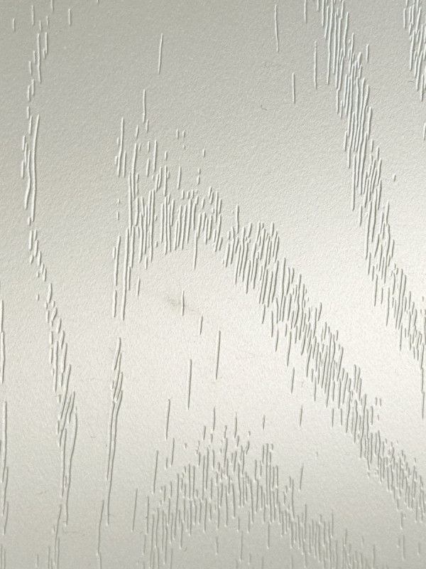 Фасад МДФ пленочный Осина перламутр СС-5035 MebTech - 1