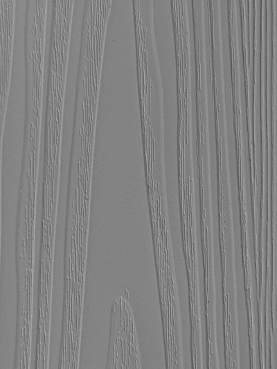 Фасад МДФ плівковий Вудясень сірий СС-5507 MebTech - 1