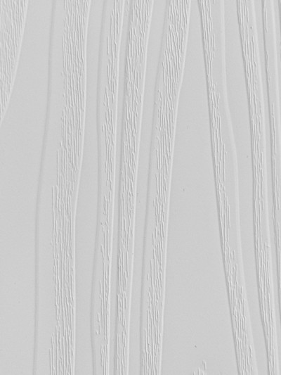 Фасад МДФ плівковий Вудясень айс СС-5501 MebTech - 1