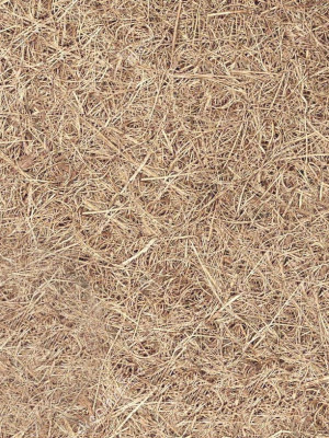 Безпружинний матрац Caochu Twin/Каучу Твін Matroluxe (Матролюкс) - 6