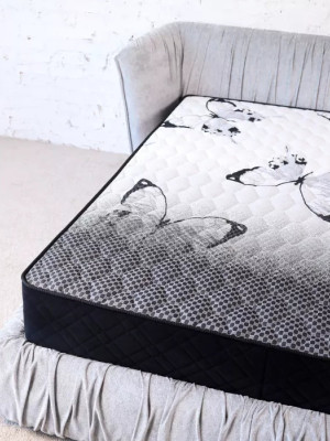 Безпружинний матрац Delight/Делайт Matroluxe - 4