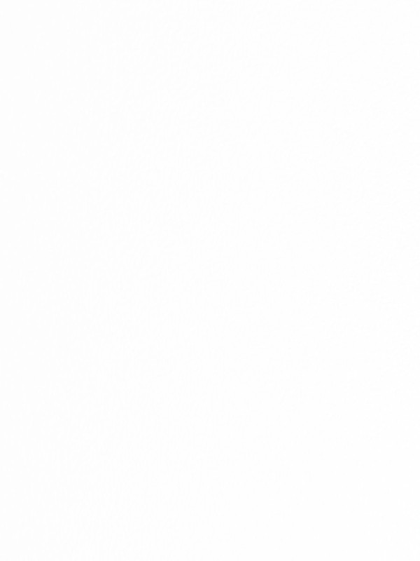 ДВП Біле 2800х2070x3 мм MebTech - 1