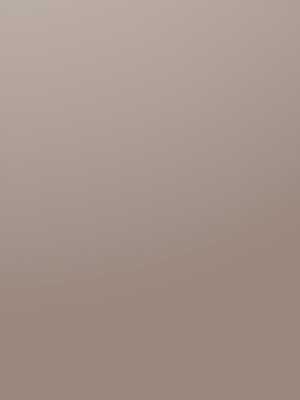 ЛДСП Kronospan K096 SU Глиняний Сірий 2800х2070x18 мм Kronospan - 1