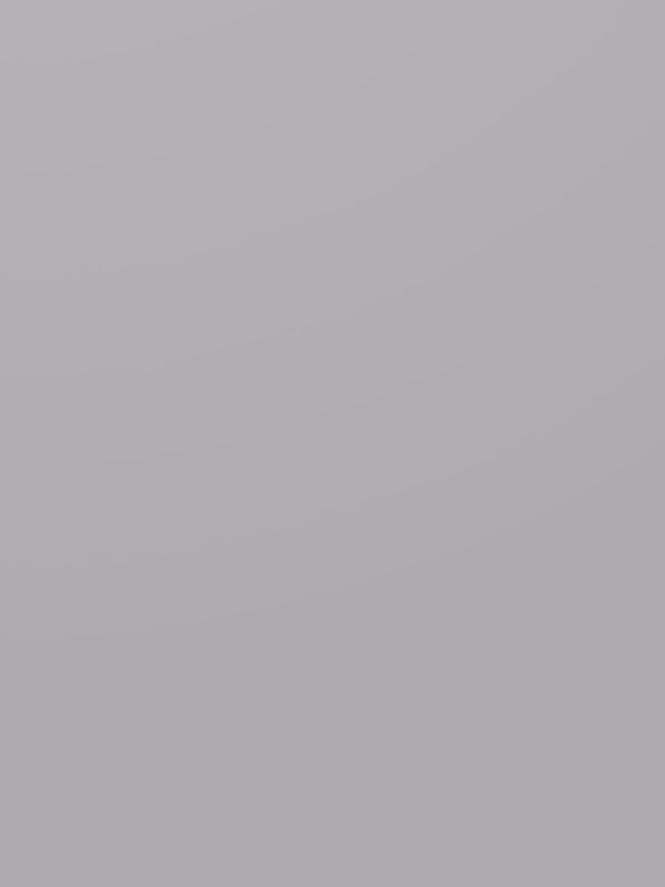 ЛДСП Kronospan 0197 SU Шиншилла Серая 2800х2070x18 мм Kronospan - 1