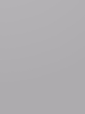 ЛДСП Kronospan 0197 SU Шиншилла Серая 2800х2070x18 мм Kronospan - 1