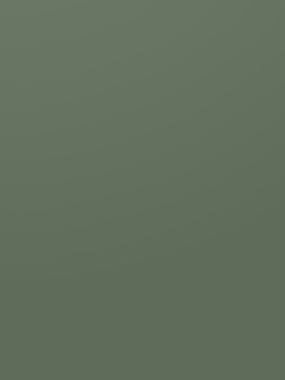 ЛДСП Kronospan K521 SU  Зелений Димчастий 2800х2070x18 мм Kronospan - 1