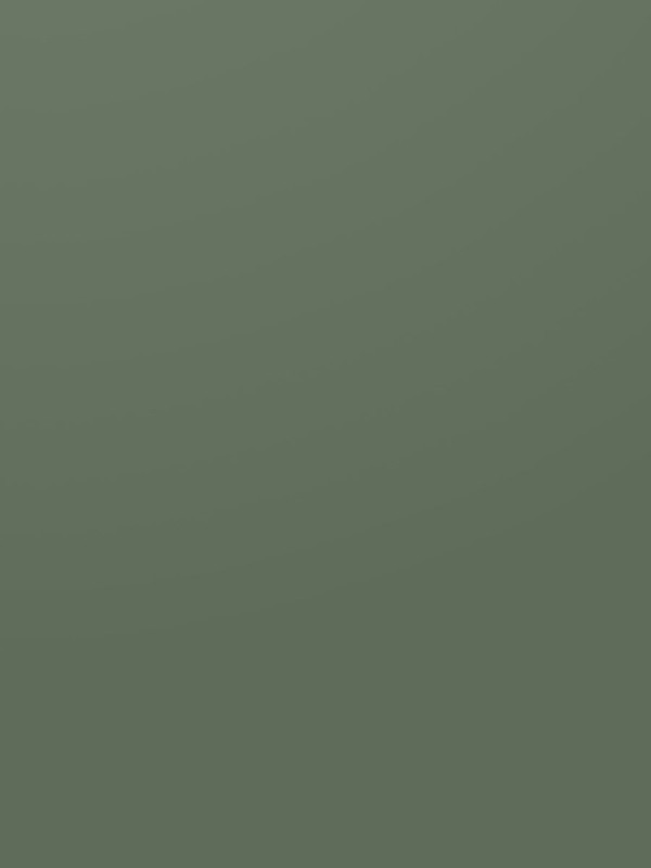 ЛДСП Kronospan K521 SU  Зелений Димчастий 2800х2070x18 мм Kronospan - 1