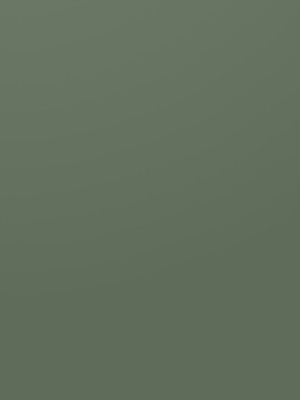 ЛДСП Kronospan K521 SU Зеленый Дымный 2800х2070x18 мм Kronospan - 1