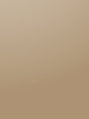 ЛДСП Kronospan 0301 SU Капучіно 2800х2070x18 мм Kronospan - 1