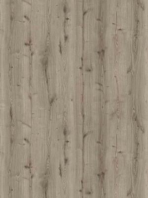 ЛДСП Swisspan 0512 WL Дуб Бельвер 2750х1830х18 мм Swisspan - 1