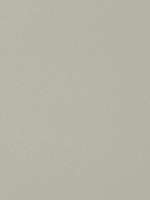 ЛДСП Swisspan 0079 PE Алюминий 2750х1830х16 мм Swisspan - 1