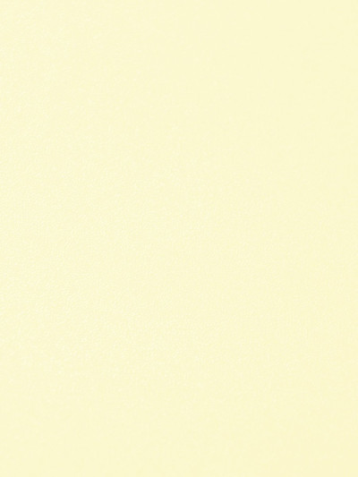 ЛДСП Swisspan 0243 PE Ваниль 2750х1830х16 мм Swisspan - 1