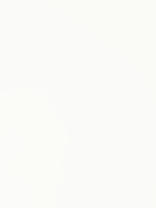 ЛДСП Swisspan 0345 SM Белый Элит Гладкий 2750х1830х16 мм Swisspan - 1