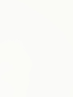 ЛДСП Swisspan 0345 SM Белый Элит Гладкий 2750х1830х18 мм Swisspan - 1