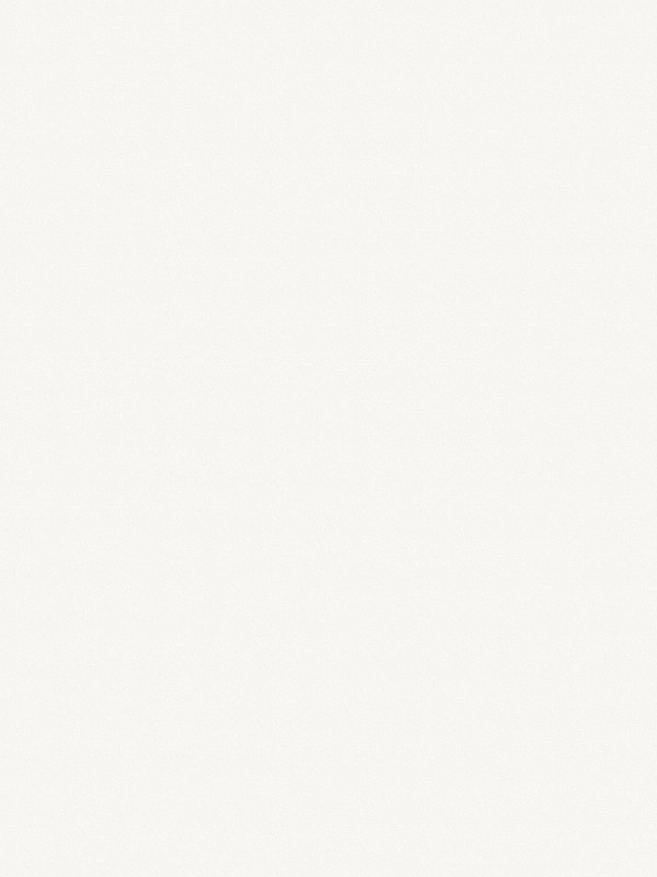 ЛДСП Egger W908 STSM Белый Базовый 2800х2070х18 мм EGGER - 1