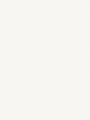 ЛДСП Egger W908 STSM Белый Базовый 2800х2070х18 мм EGGER - 1