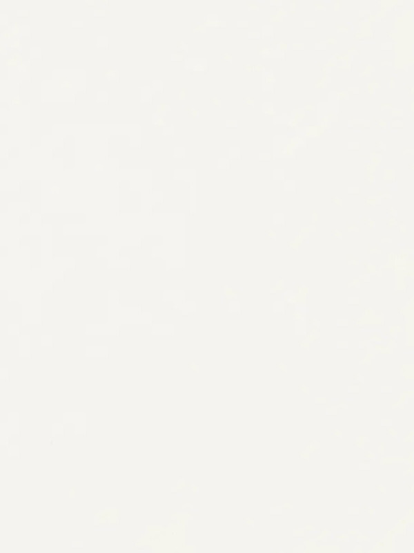 ЛДСП Egger W1100 ST9 Білий Альпійський 2800х2070х18 мм EGGER - 1