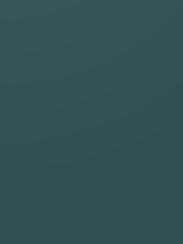 ЛДСП Kronospan 0244 SU Бензин 2800х2070x18 мм Kronospan - 1