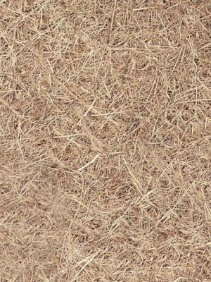 Ортопедичний матрац Rose/Роуз двосторонній Matroluxe - 7