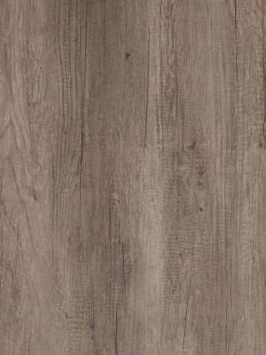 Компакт плита HPL S499 Дуб Ванкувер - черное ядро LuxeForm LuxeForm - 2