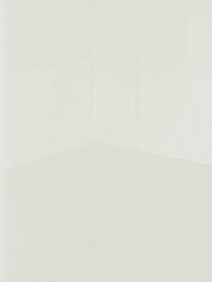 Стекло фасадное светло Серый RAL 9010 Lacobel 4 мм (кв.м.)  - 2